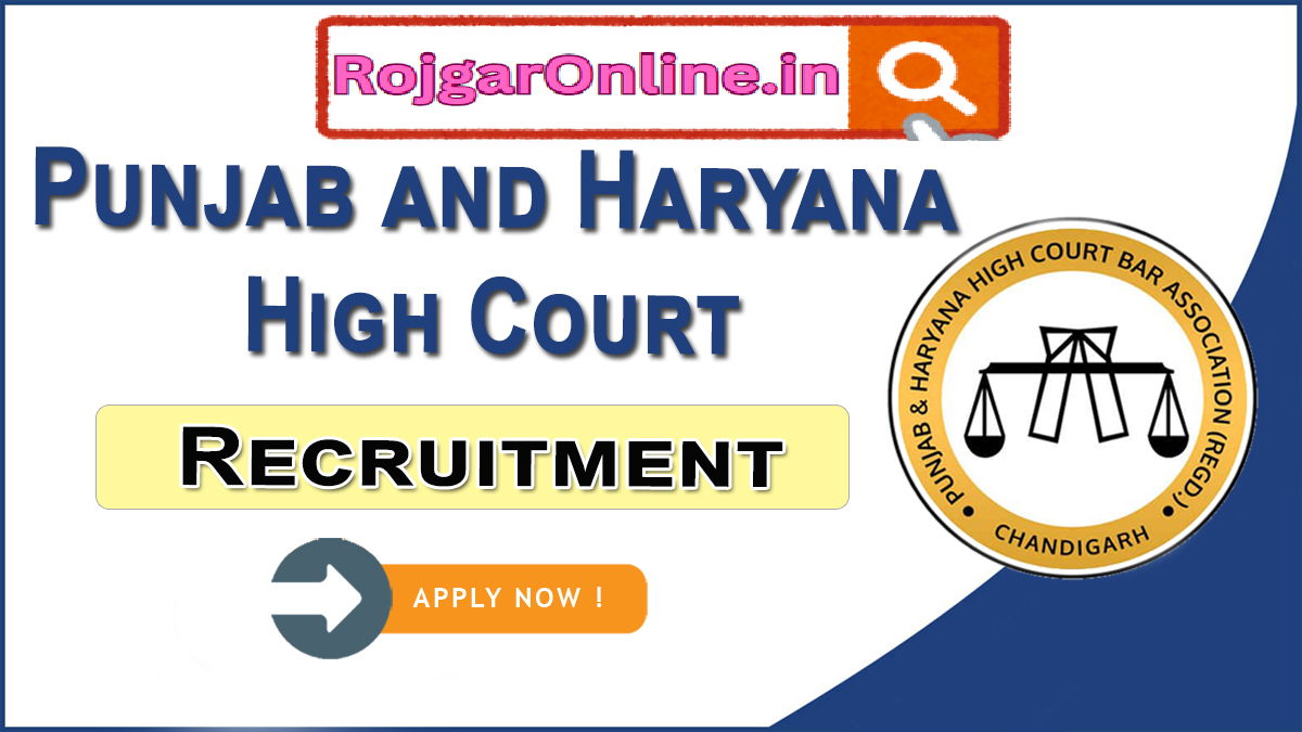 300 Peon Job in High Court of Punjab and Haryana Chandigarh 2024